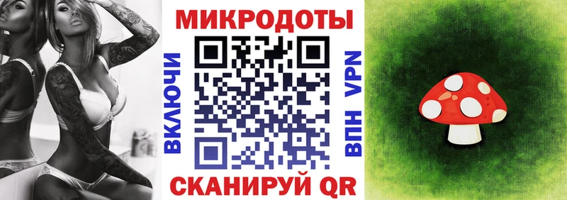 Псилоцибиновые грибы Psilocybe закладки Бакал